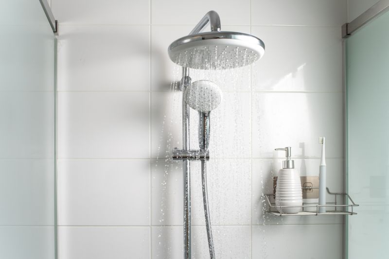 Rain Showerhead in Modern Walk-in